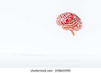 Fragile handle with care label on a human brain, Mind or Mental Health Concept, 3D Illustration