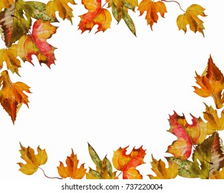 Border Frame Colorful Autumn Leaves Isolated Stock Photo 1153651942 ...