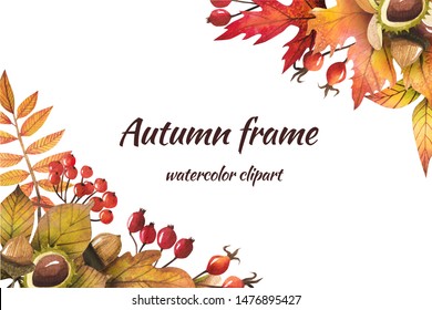 Frame Of Autumn Leaves Painted By Watercolor, Isolated Clipart, Design Of Autumn Themes. Autumn Design