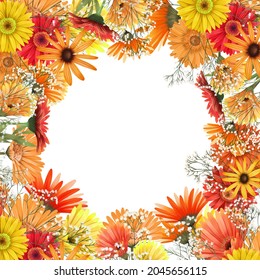 Frame Border Of Autumn Gerbera Daisies, Asters And Gypsophila Flowers, Hand Drawn Illustration On White Background, For Wedding Cards, Invitation, Celebratory Design