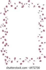 frame flowers