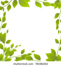 Frame Foliage Branch Leaves Background Frame Stock Illustration ...