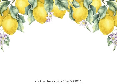 Frame of Lemon Branches with fruits, flowers and leaves. Isolated hand drawn watercolor wreath. Summer citrus Template for menu, package, cosmetic, textile, cards - Powered by Shutterstock