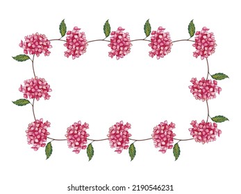 Frame Of Pink Hydrangea. Watercolor Illustration.