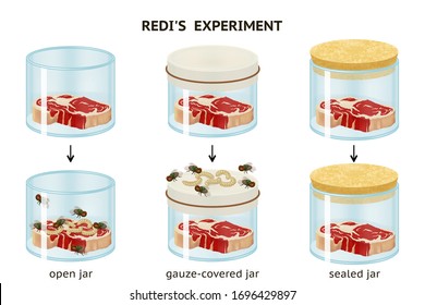 francesco redi experiment conclusion