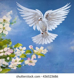 A free flying white dove