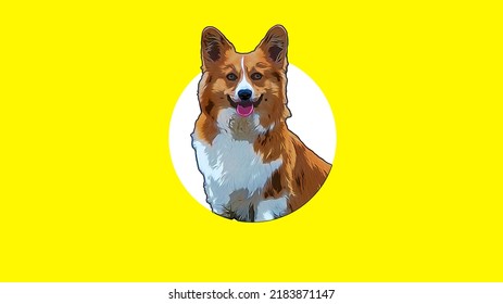 Free welsh corgi dog on yellow and white background. Cute dog.