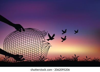 Freedom Concept Illustration, Birds Flying For Freedom From Bird Net Trap, The Bird Released From The Net, Bird Set Free.