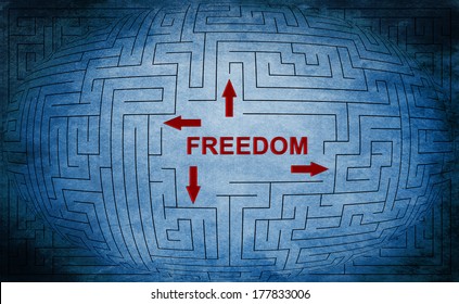 Freedom maze concept