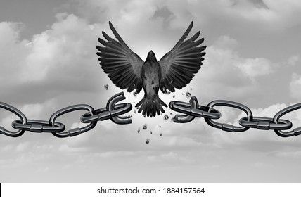 Freedom Metaphor As A Symbol Of Liberty And As A Concept Of Chains Breaking As Bird Wings Breaking Free With 3D Illustration Elements.