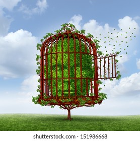 Freedom of the mind concept as a tree in the shape of a human head trapped by branches shaped as an open  birdcage or bird cage for personal growth as a metaphor for thinking outside the box.