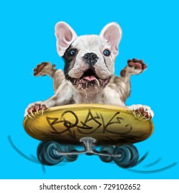 French Bulldog On Skateboard