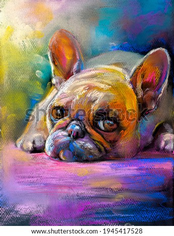 french bulldog original pastel portrait. Modern art