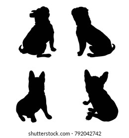 French Bulldog purebred dog standing in side view     silhouette isolated