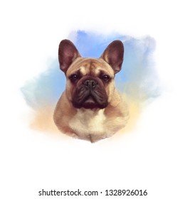 French bulldog  Realistic Portrait Boxer dog watercolor background  Hand Painted Illustration Pets  Watercolor Animal collection: Dogs  Good for banner  print T shirt  pillow  Art background