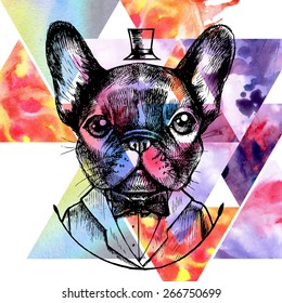 French bulldog in a tuxedo. Hand drawn raster illustration. Hipster style.