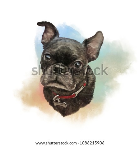 French bulldog. Watercolor realistic Portrait of a Boxer dog. Hand Painted Illustration of Pets. Watercolor Animal collection: Dogs. Good for banner, print T-shirt, pillow. Art background for pet shop