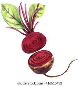 Fresh Beetroot With Leaves Isolated, Watercolor Illustration 