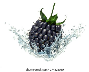 Fresh Blackberry In Water Splash, Isolated On White Background