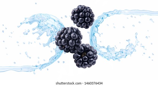 Blackberry Puree Ilustraciones Imagenes Y Vectores De Stock Shutterstock