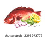 Fresh fish Red sea perch (or bigeye fish),  seafood. Hand drawn watercolor illustration, isolated on white background