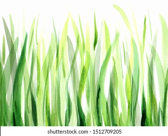 Fresh Green Grass Watercolor Illustrations