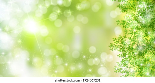 Fresh Green Leaves Spring Background