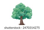 Fresh green tree with green leaves and brown trunk isolated on white Background | digital art