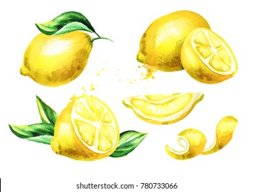 レモン 水彩 の画像 写真素材 ベクター画像 Shutterstock