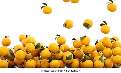 Fresh Oranges Falling With Water Drops. Food Concept. 3d Rendering