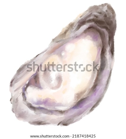 Fresh raw oyster watercolor painting seafood shellfish artistic illustration