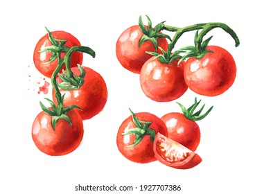 Fresh ripe cherry tomatoes on the branch set. Hand drawn watercolor illustration, isolated on white background