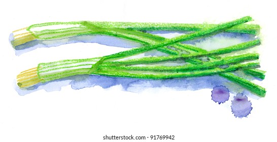 Fresh Scallions. Watercolor Painting.