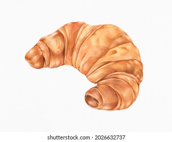 Freshly baked croissant hand-drawn illustration - Powered by Shutterstock