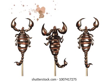 Fried Scorpion On A Skewer Set. Asian Street Food, Isolated On White Background. Watercolor Hand Drawn Illustration