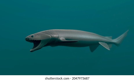 Frilled Shark, Deep Sea, 3D Rendered