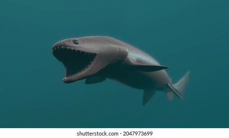 Frilled Shark, Deep Sea, 3D Rendered