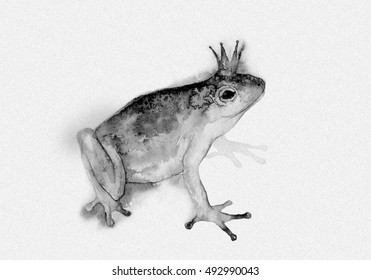 Frog Ink Drawing Watercolor Drawing Stock Illustration 492990043 ...