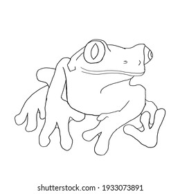 Frog Sitting Illustration Coloring Stock Illustration 1933073891 ...