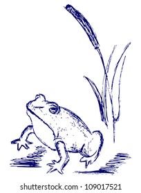 Frog sketch  Raster