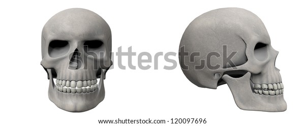 Front Side 3d Rendered Skull Stock Illustration 120097696 | Shutterstock