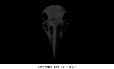 Front View Black Raven - Crow Skull