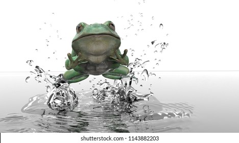 Front View Of Frog Out Of Water Leaping And Jumping White Background 3d Rendering