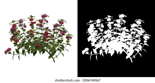 Front View Lantana Camara Plant Png Stock Illustration 2006749067 ...