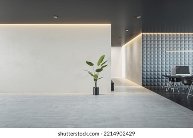 Front View On Blank Light Grey Backlit Wall With Place For Your Advertising Poster Background In Stylish Sunlit Office With Dark Ceiling. 3D Rendering, Mock Up