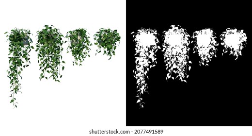 Front view of Plant (Hanging Creepers Plants 1) Tree white background 3D Rendering Ilustracion 3D	