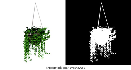 Front View Of Plant (hanging Pot With Indoor Plant 1) Tree Png With Alpha Channel To Cutout Made With 3D Render 