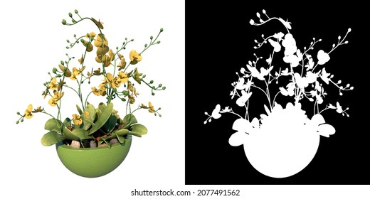 Front view of Plant (Moth Orchids Phalaenopsis 1) Tree white background 3D Rendering Ilustracion 3D	