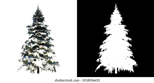 Front view of Plant (Pine Snowy Tree Winter 2) Tree png with alpha channel to cutout made with 3D render 