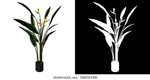 Front View Of Plant (Pot With Bird Of Paradise Flower 1) Tree White Background 3D Rendering Ilustracion 3D